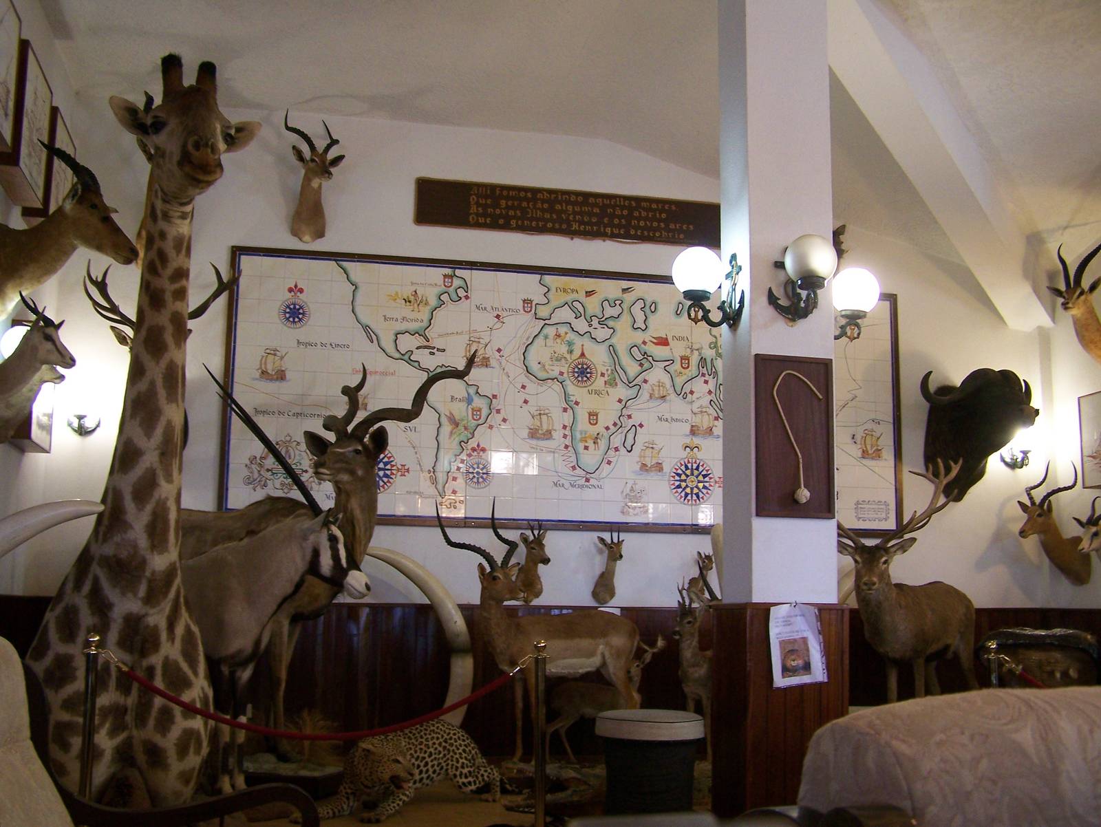 Restaurant taxidermy