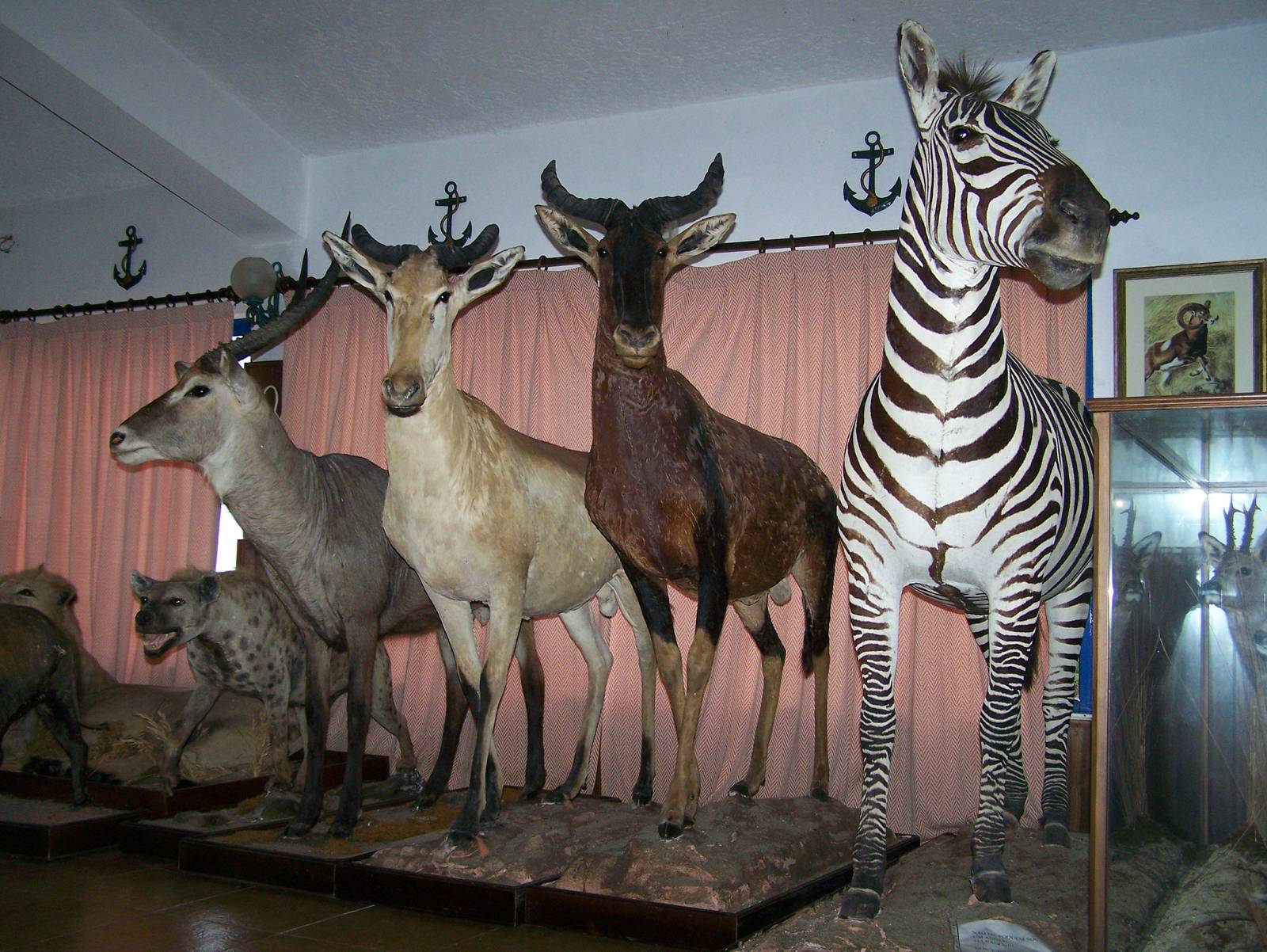 Restaurant taxidermy
