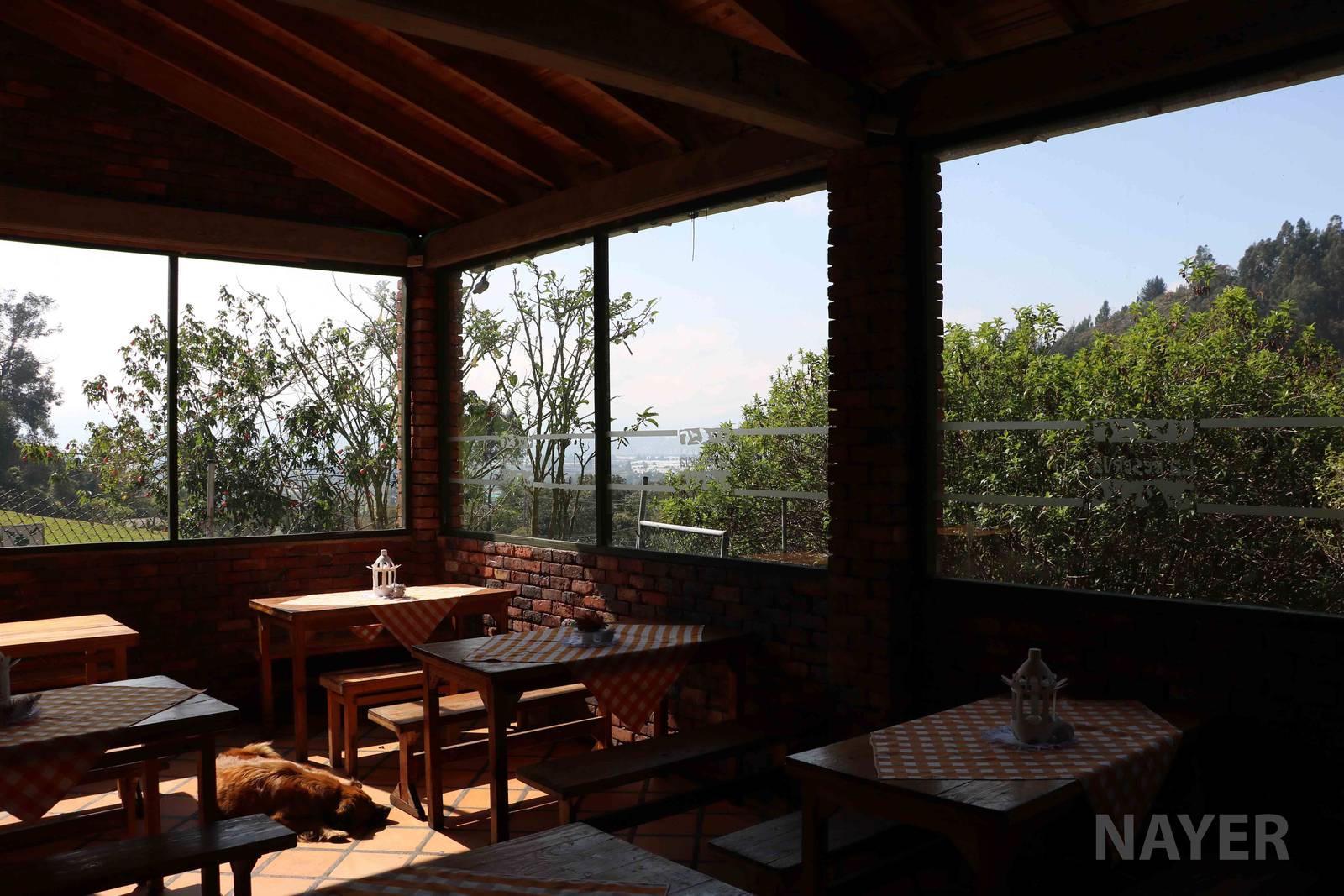 Restaurant view - Bioparque la Reserva, March 2016