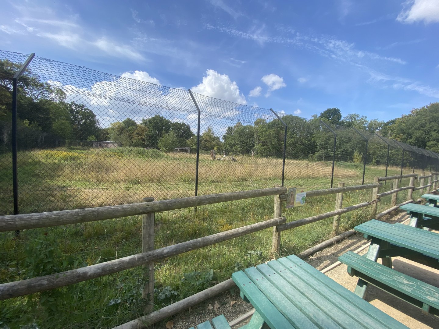 Restaurant view of cheetah enclosure
