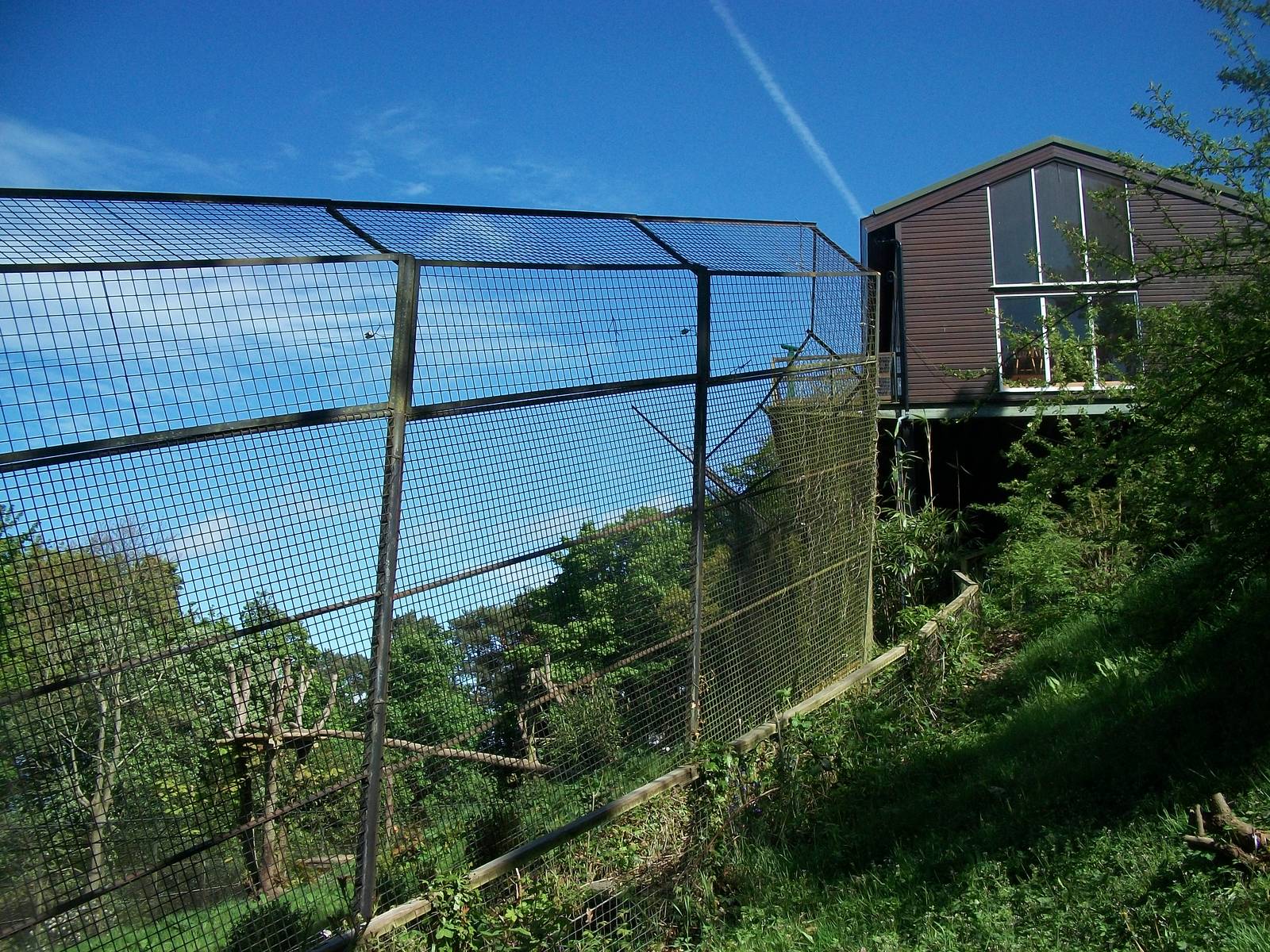 Restaurant with Tiger exhibit below 21st May 2013
