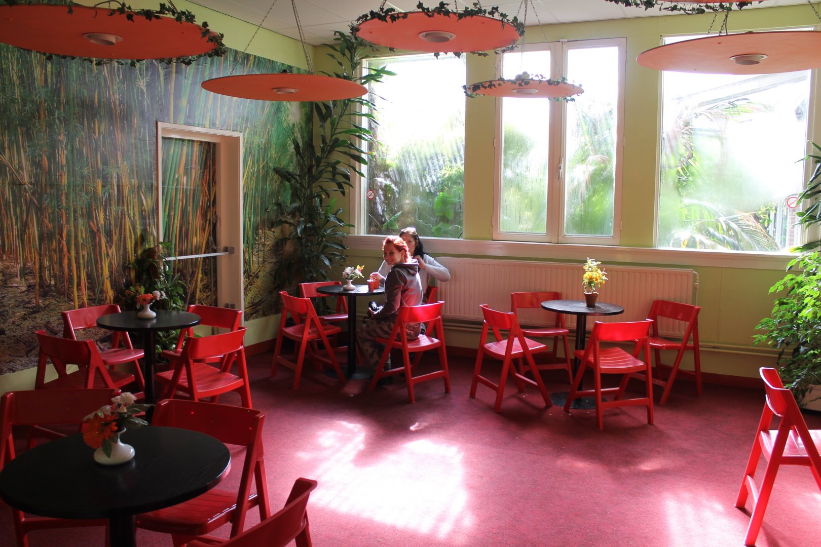 Restaurant - with viewing-windows  to alligator-enclosure