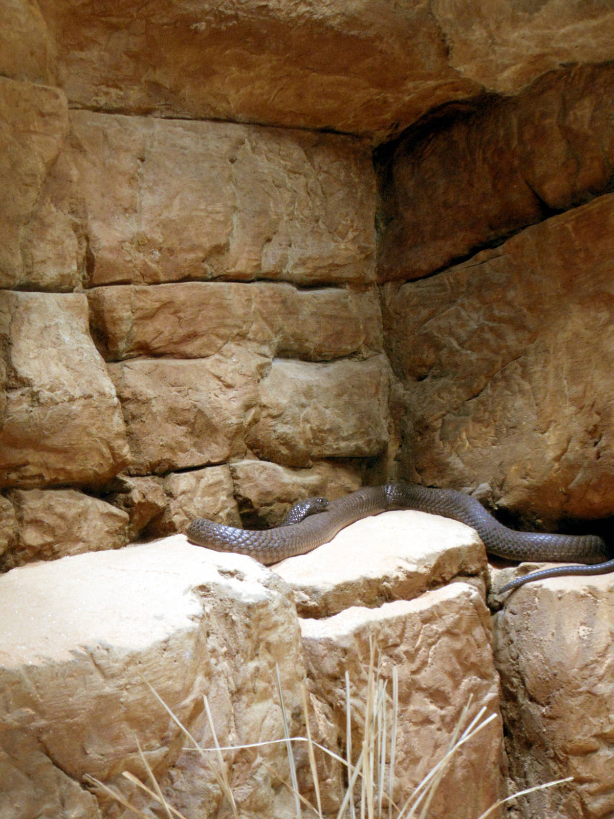 Restless Planet Exhibits