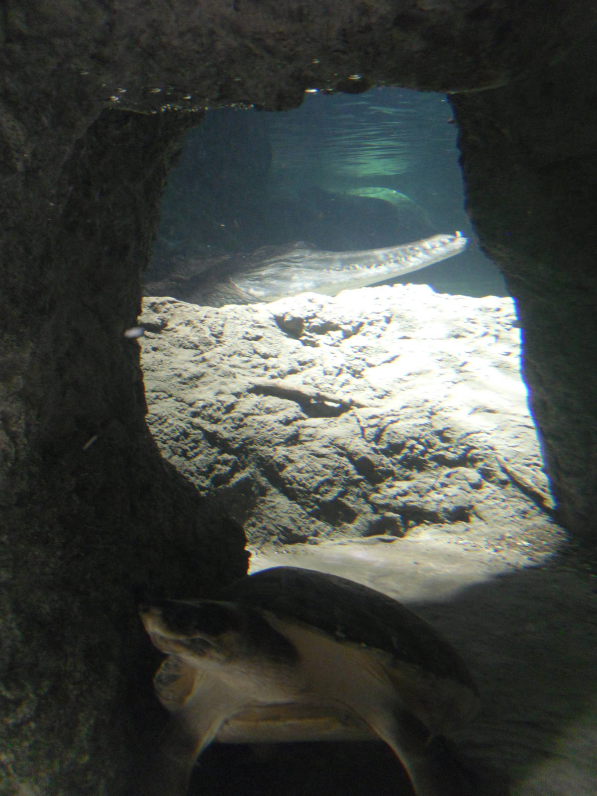 Restless Planet Exhibits