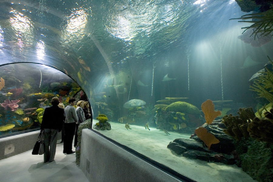 Restless Planet Exhibits