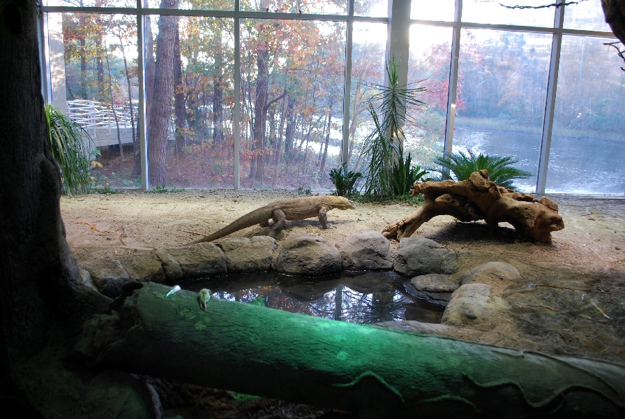 Restless Planet Exhibits