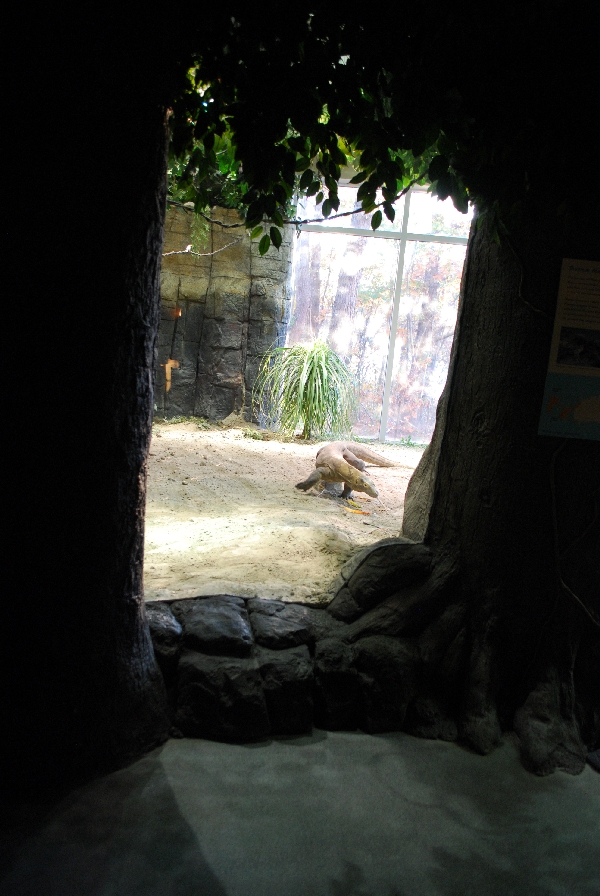 Restless Planet Exhibits