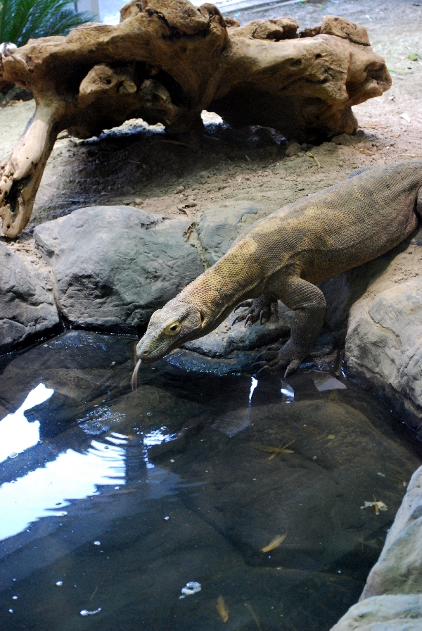 Restless Planet Exhibits