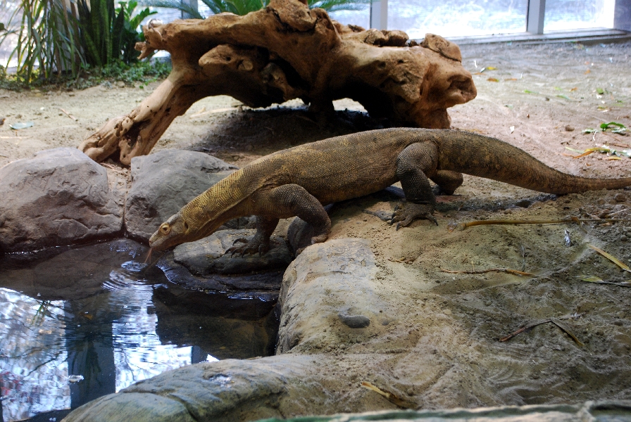 Restless Planet Exhibits