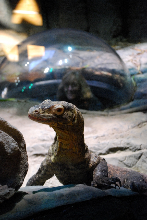 Restless Planet Exhibits