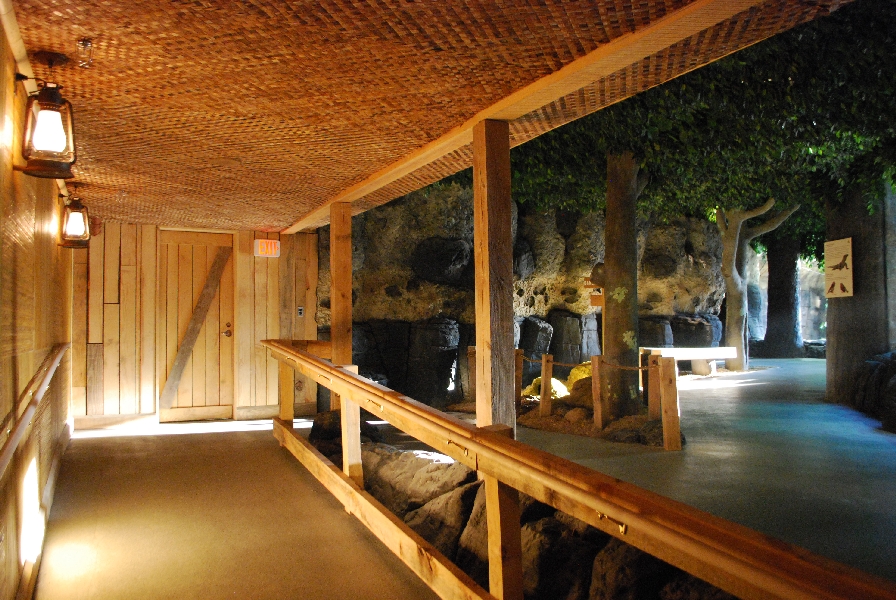 Restless Planet Exhibits