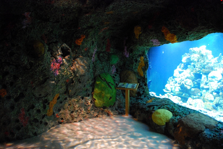 Restless Planet Exhibits