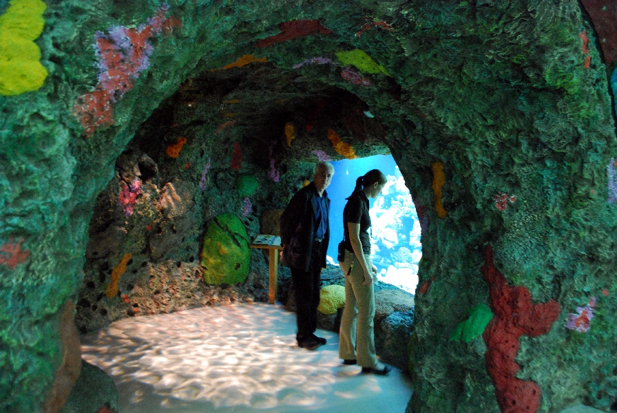 Restless Planet Exhibits