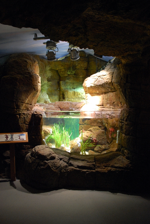 Restless Planet Exhibits