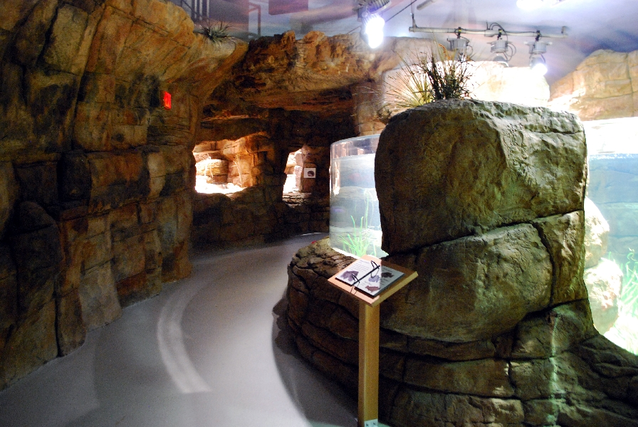 Restless Planet Exhibits