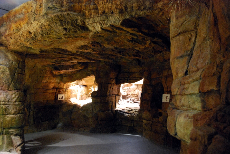 Restless Planet Exhibits