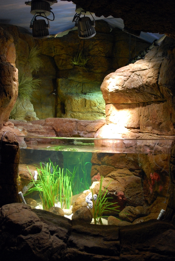 Restless Planet Exhibits