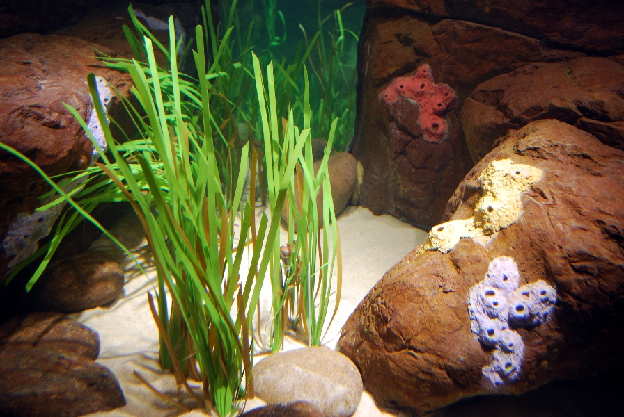 Restless Planet Exhibits