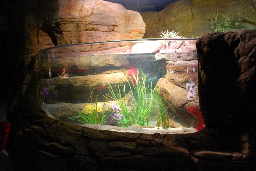 Restless Planet Exhibits