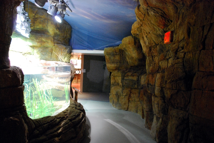 Restless Planet Exhibits