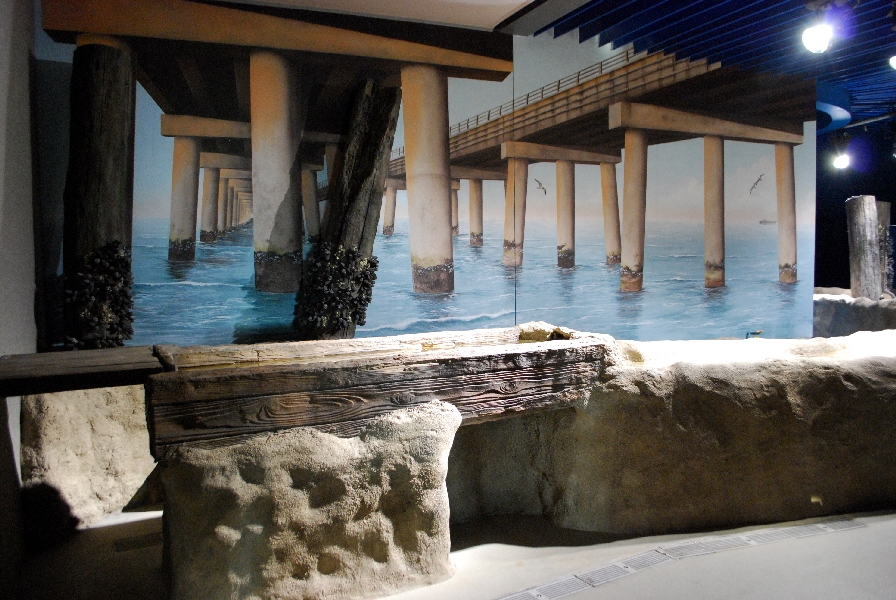 Restless Planet Exhibits