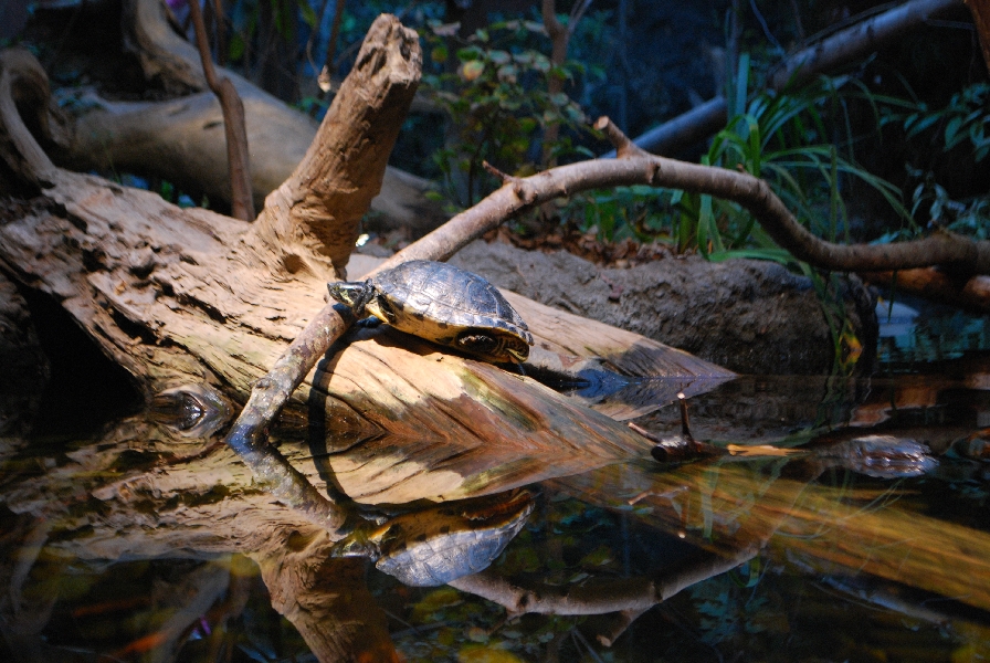 Restless Planet Exhibits