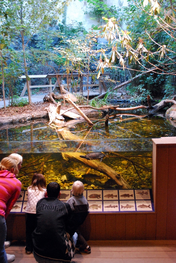 Restless Planet Exhibits