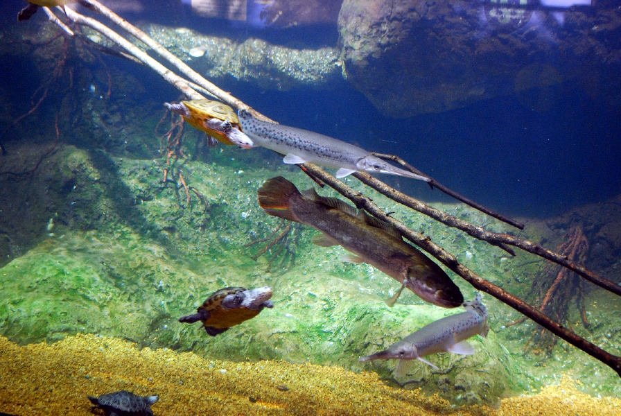 Restless Planet Exhibits