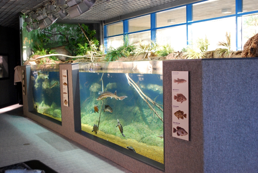 Restless Planet Exhibits