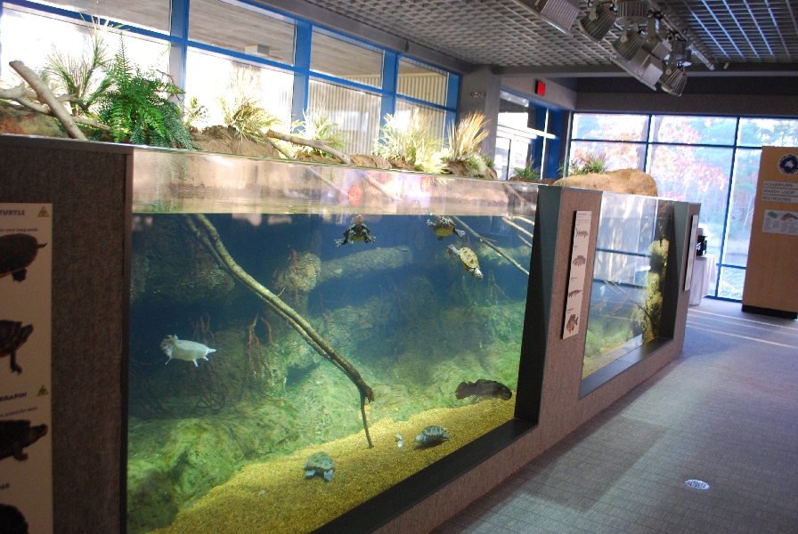 Restless Planet Exhibits