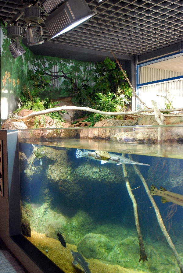 Restless Planet Exhibits