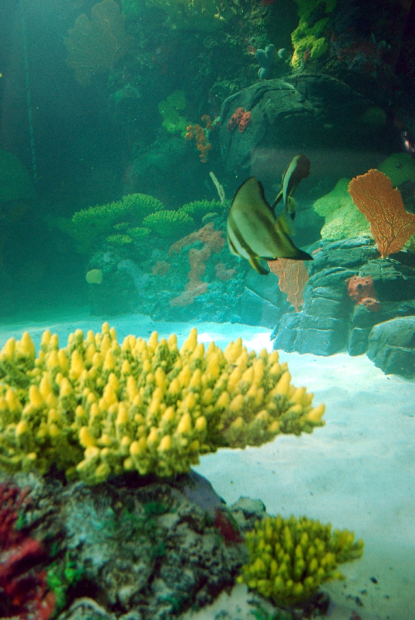 Restless Planet Exhibits