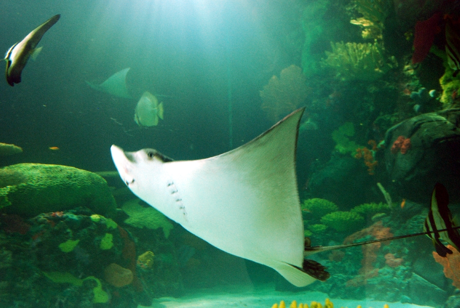 Restless Planet Exhibits