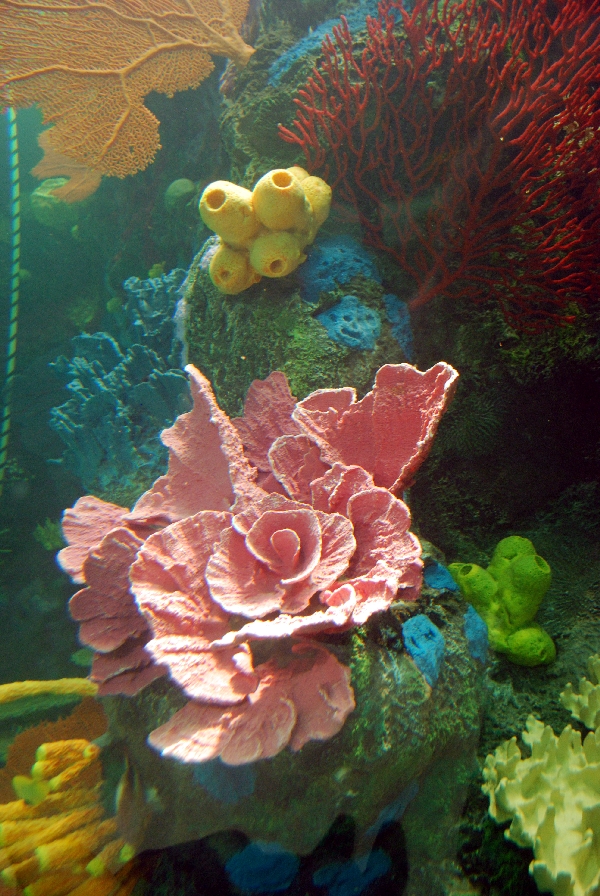 Restless Planet Exhibits