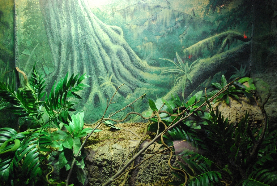 Restless Planet Exhibits