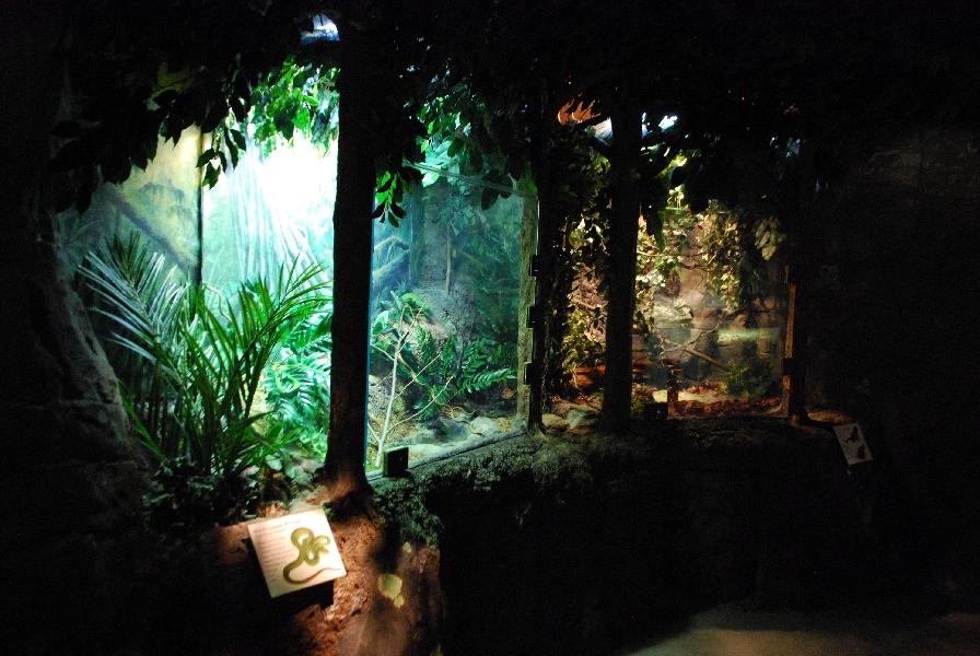 Restless Planet Exhibits