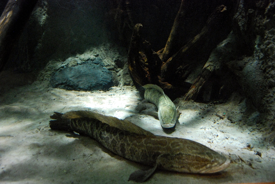 Restless Planet Exhibits