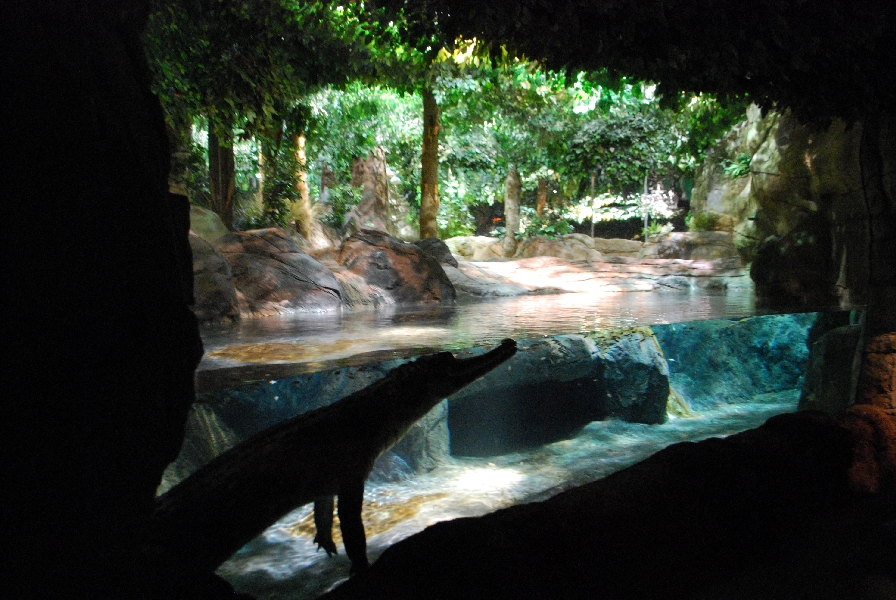 Restless Planet Exhibits