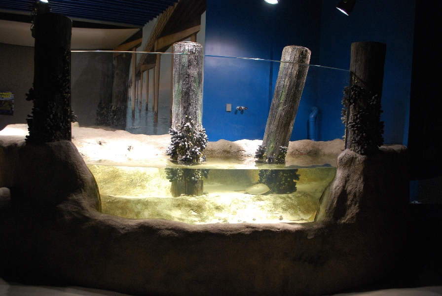 Restless Planet Exhibits