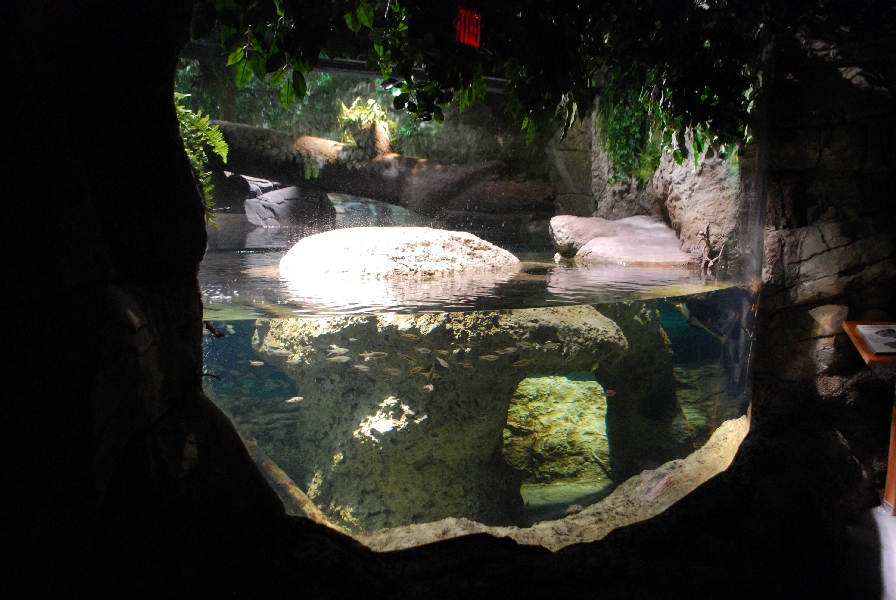 Restless Planet Exhibits