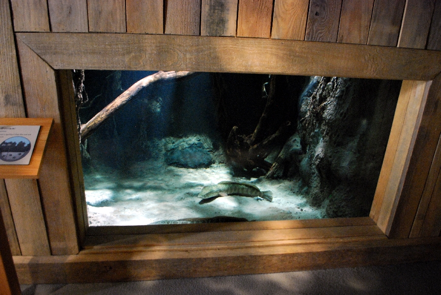 Restless Planet Exhibits