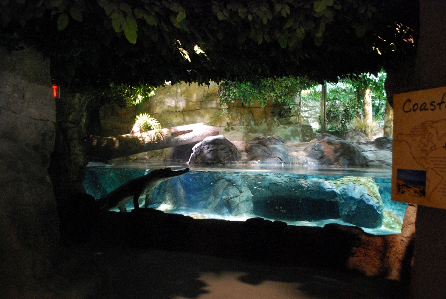 Restless Planet Exhibits