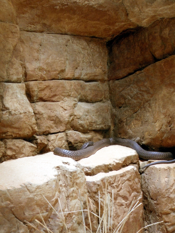 Restless Planet Exhibits