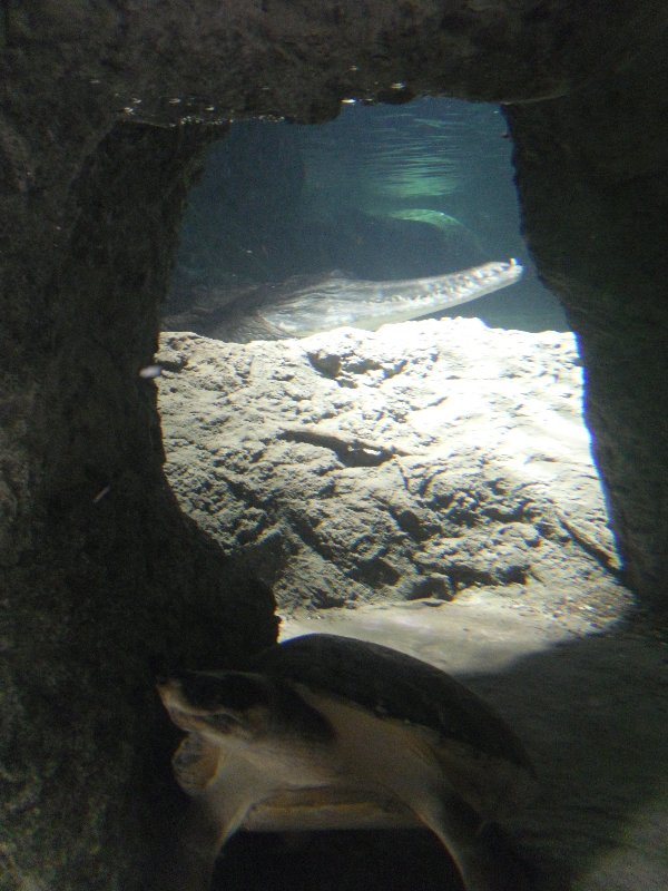 Restless Planet Exhibits