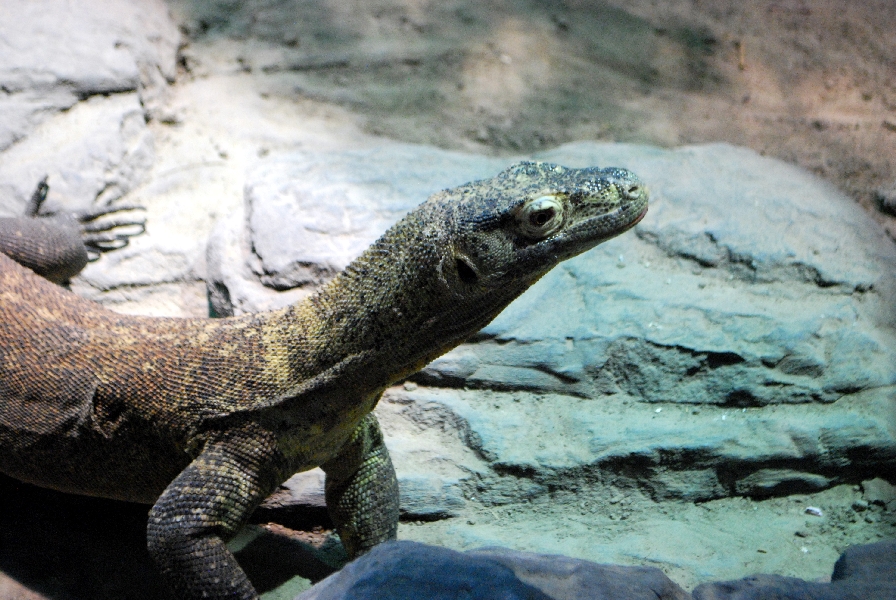 Restless Planet Exhibits