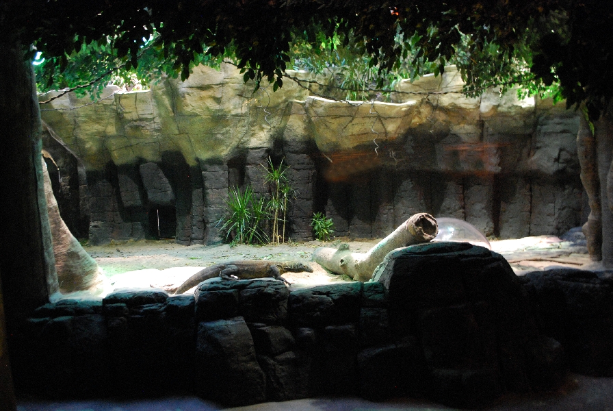 Restless Planet Exhibits