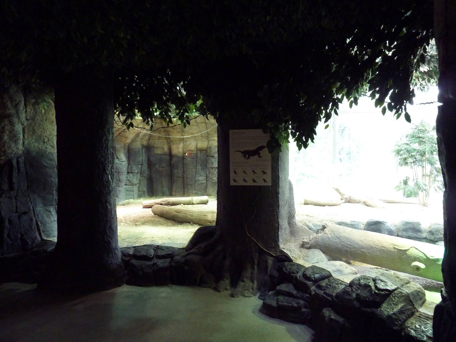 Restless Planet - Komodo Dragon Exhibit