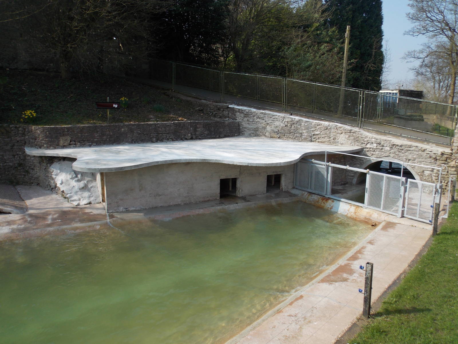 Restored sea lion pool and new gates