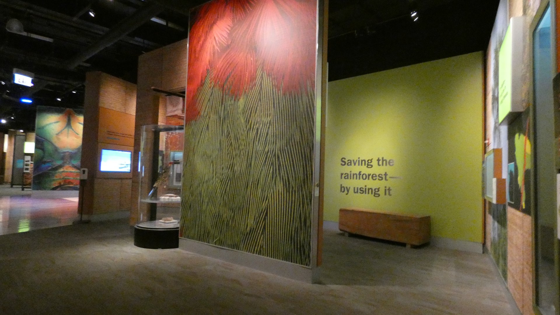 Restoring Earth Gallery - Feb. 2022