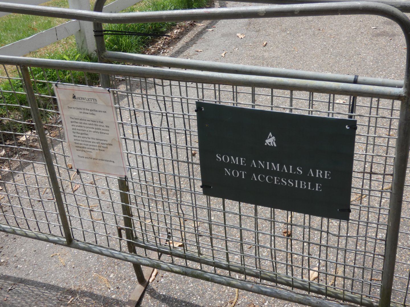 Restrictions by Gorilla enclosures